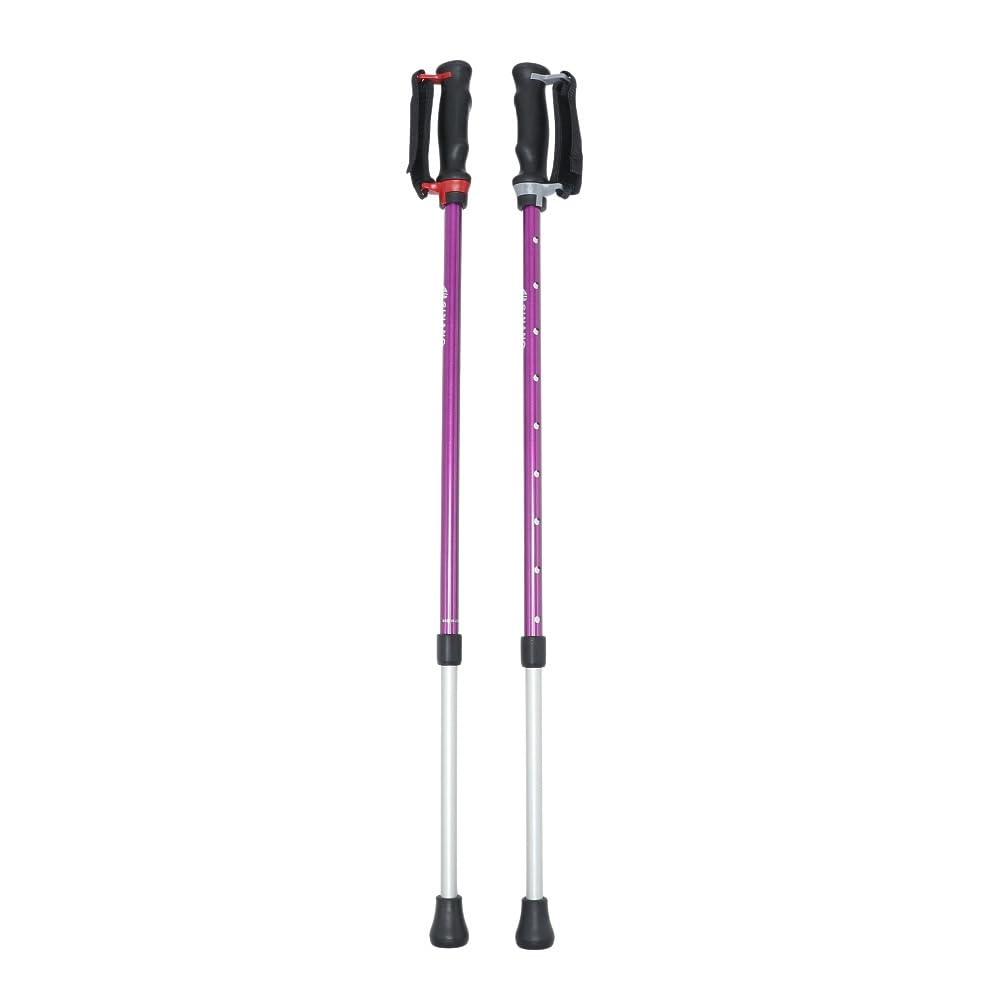 SINANO Anshin Two-Piece Walking Stick/Purple