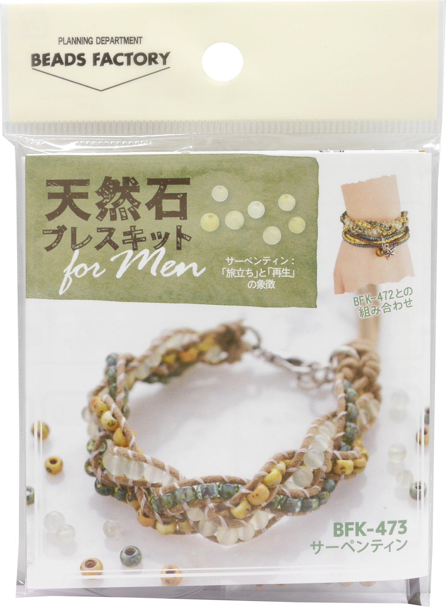 MIYUKI Bead Kit Natural Stone Bracelet Kit for Men Serpentine BFK-473