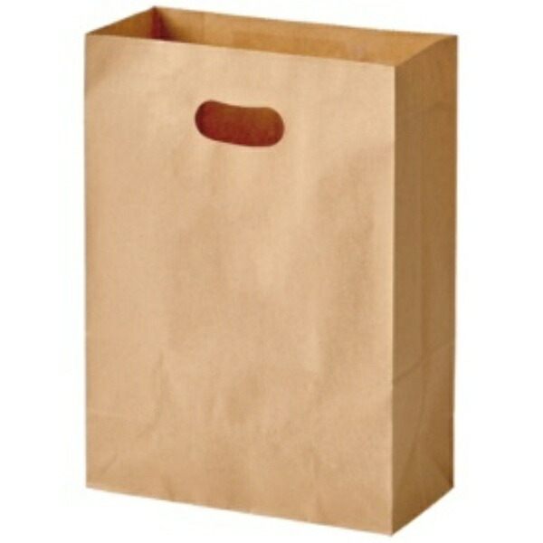 Pack Takeyama Handle Paper Bag E-Grip Plain Brown L XZT52030 1 Pack (50 Sheets)