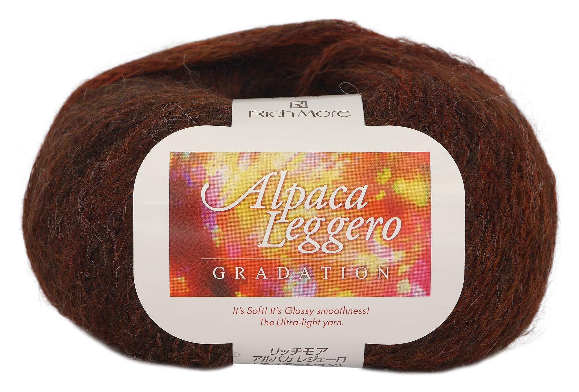 HAMANAKA RichMore Autumn/Winter Yarn ‘Alpaca Leggero Gradient Color 101’