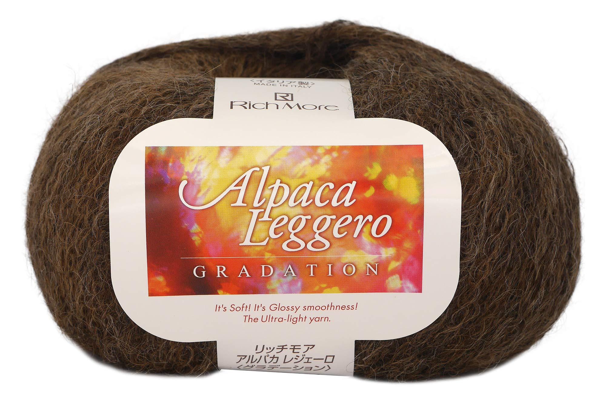 HAMANAKA RichMore Autumn/Winter Yarn ‘Alpaca Leggero Gradient Color 104’