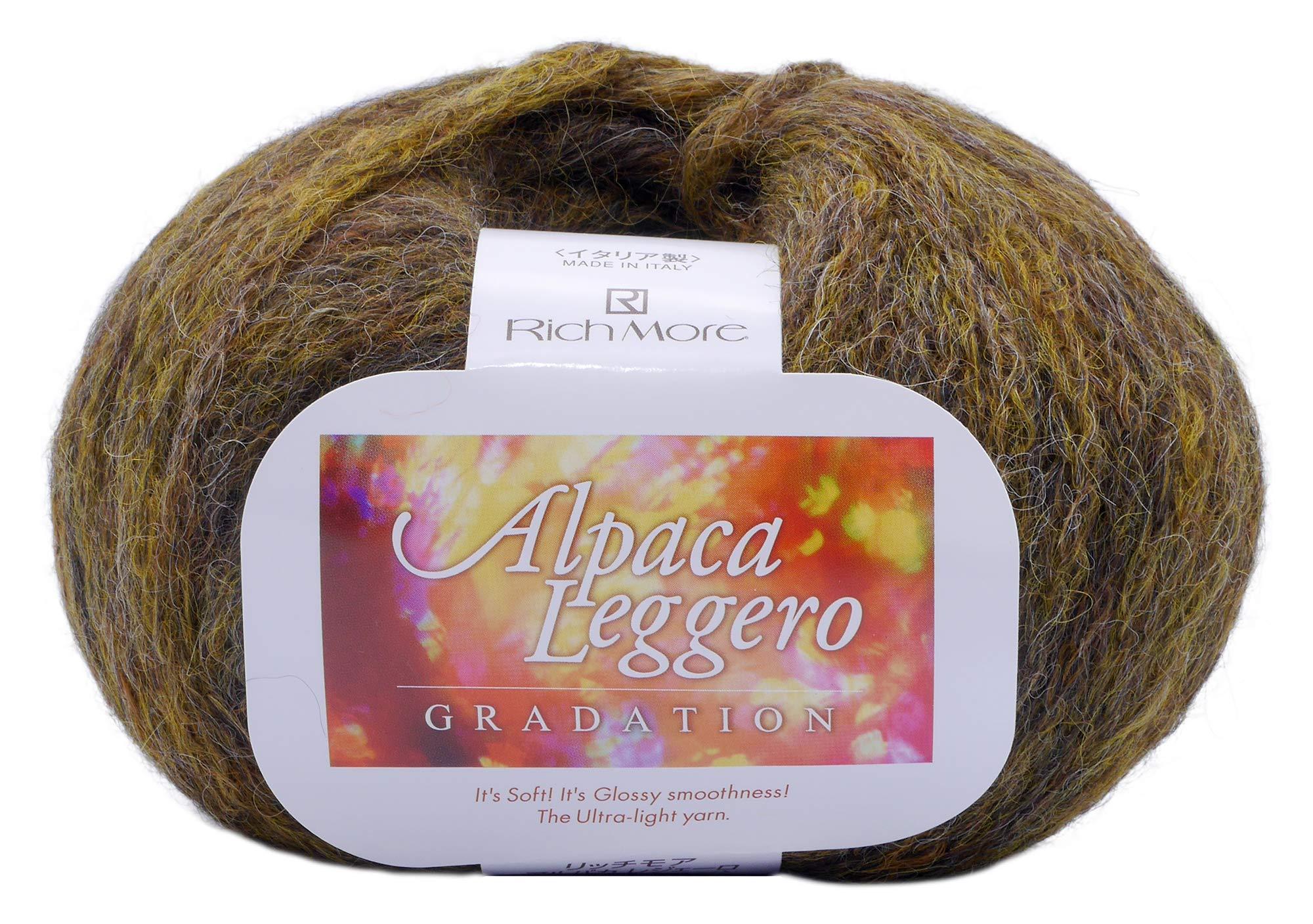 HAMANAKA RichMore Autumn/Winter Yarn ‘Alpaca Leggero Gradation Color 105’