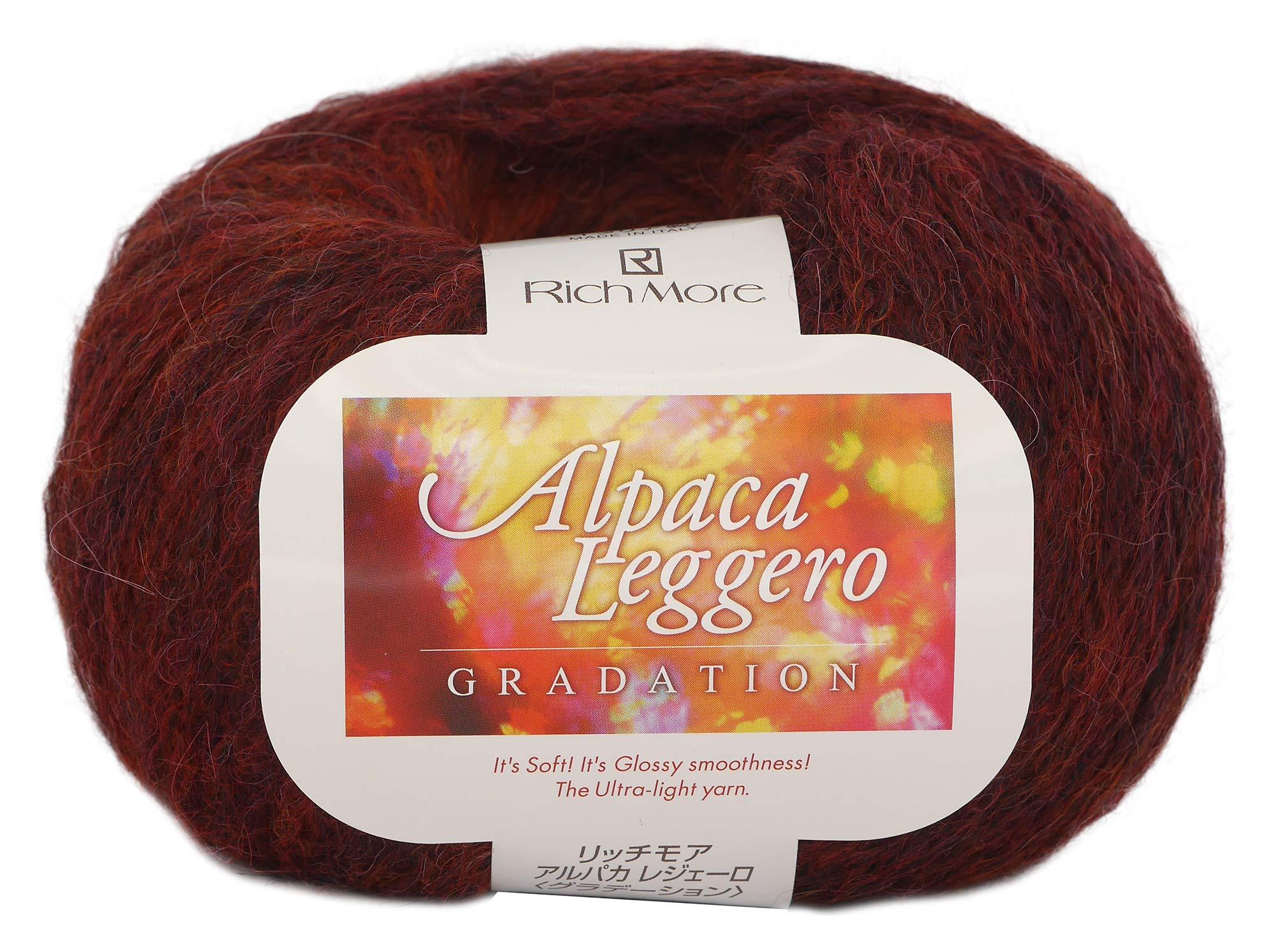 HAMANAKA RichMore Autumn/Winter Yarn ‘Alpaca Leggero Gradient Color 106’