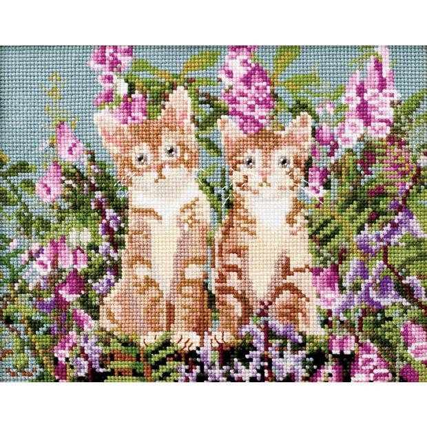 Lucian Cat&Flower Twins 716