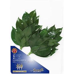 A&K Premium Sakaki Made with Premium Camellia Leaves from Tanba Size S (Volume Type) SKK-008SV