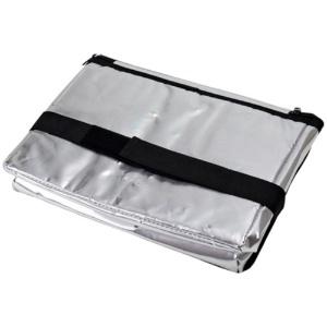 Asahi Koyo Insulated Bag Soft Cooler Bag 18L Aluminum Holds 19 x 500ml PET Bottles Includes Ice Pack Pocket Compact Foldable 1 Piece