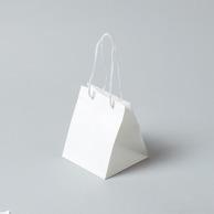 Heyko Handle Paper Bag Arrangement Bag 3S Plain White 195×195×H240mm 10 Sheets 006441104
