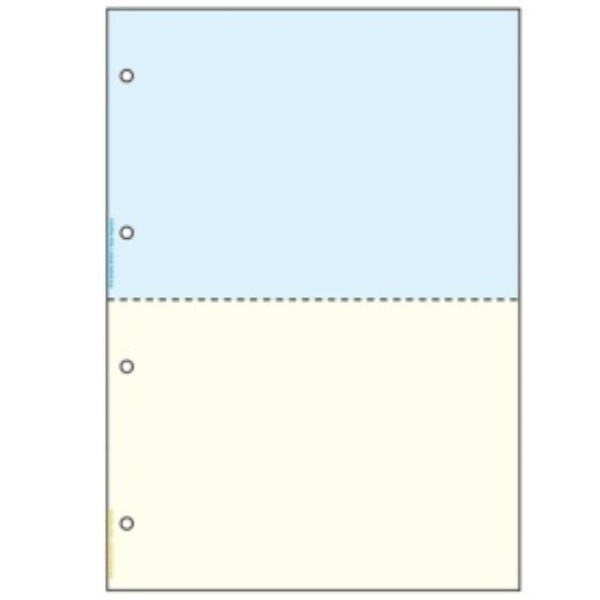 Hisago Multi-Purpose Printer Forms Water-Resistant Paper A4 Color 2-Sided 4-Hole BWP2011 1 Book (50 Sheets)