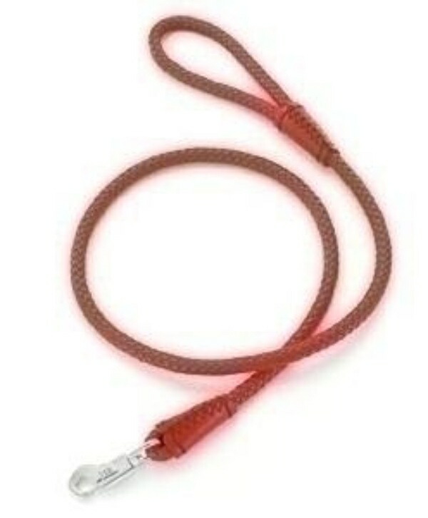 ADD. MATE Maniera Lead SS Size Red