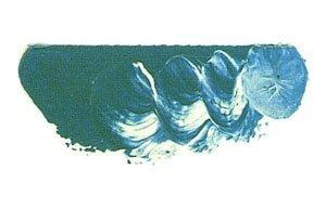 Mazda Super Oil Paint Single Color No. 6 20mL - 101 Colors Total