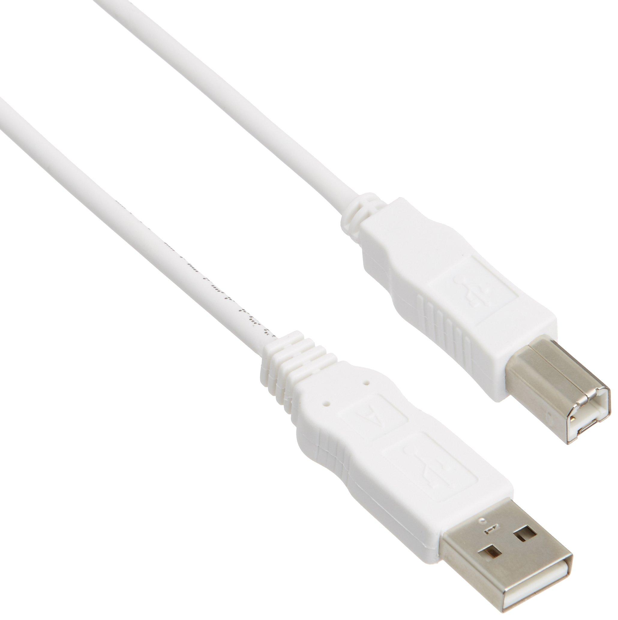 ELECOM USB Cable  USB 2.0 (USB Type-A Male to USB Type-B Male) RoHS Compliant 2m White USB2-ECO20WH