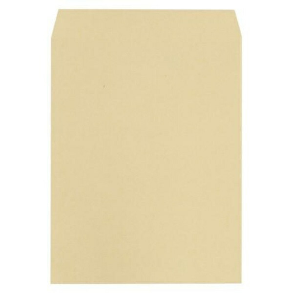 Craft Envelopes (Side-Sealed) 500-Sheet Business Pack 500 sheets