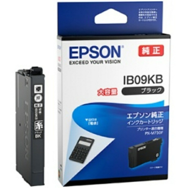 Epson Ink Cartridge Black High Capacity IB09KB 1 piece