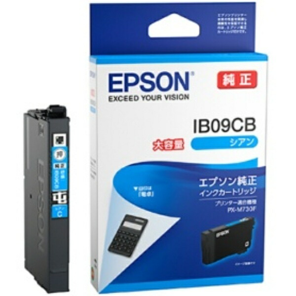 Epson Ink Cartridge Cyan High Capacity IB09CB 1 piece