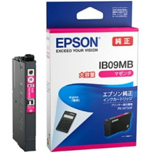 Epson Ink Cartridge Magenta High Capacity IB09MB 1 piece