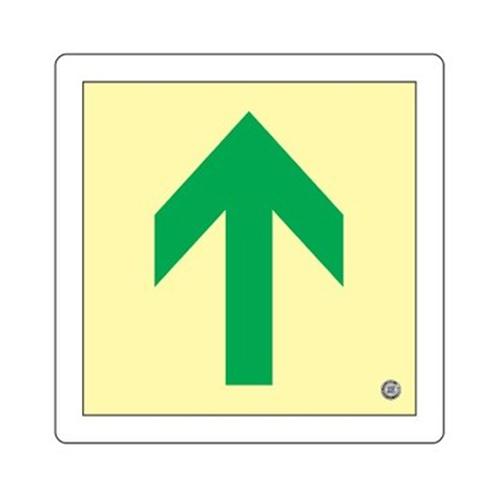 300x300mm [Phosphorescent] Floor Guidance Marker