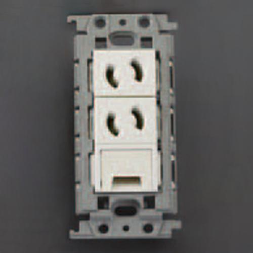 ESCO 125V/15A Flush-Mount Outlet (2-Outlet/Child-Resistant/With Screw Terminals) EA940CD-439