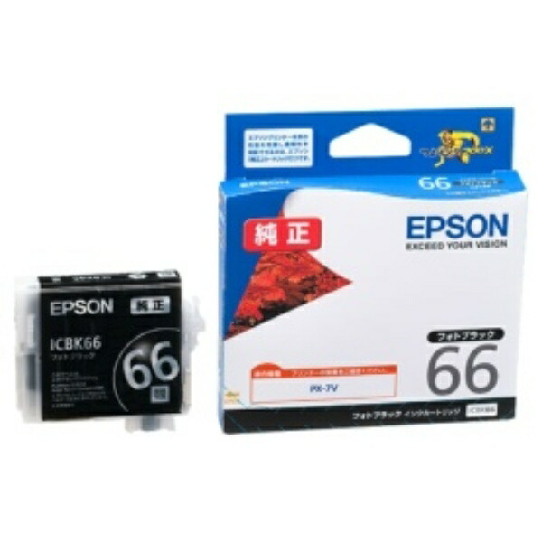 Epson Ink Cartridge Photo Black ICBK66 1 piece