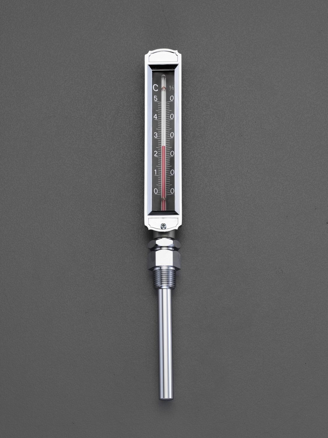 ESCO -20 to 50°C / 50mm Thermometer with Flat Protective Frame (Straight Type) EA727AD-21