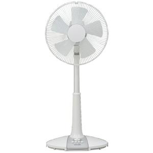 APIX Mechanical Living Room Fan AFL-216T
