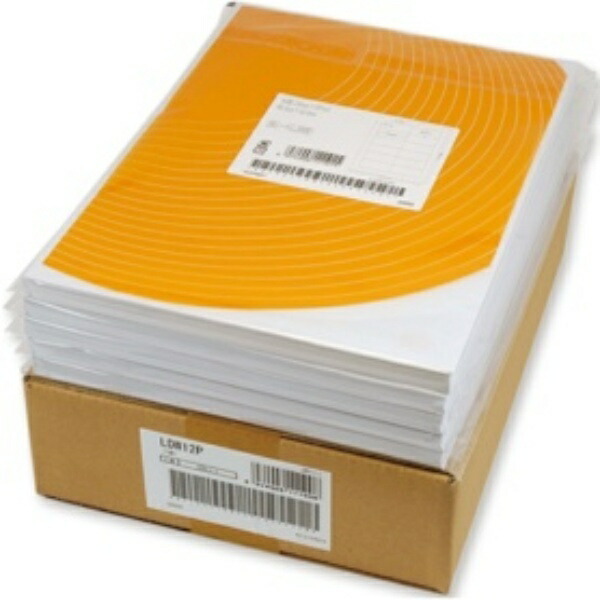 Toyo Printing Sheet-Cut Labels A4 Size 2-Sheet Per Page (1 Case of 500 Sheets) C2I