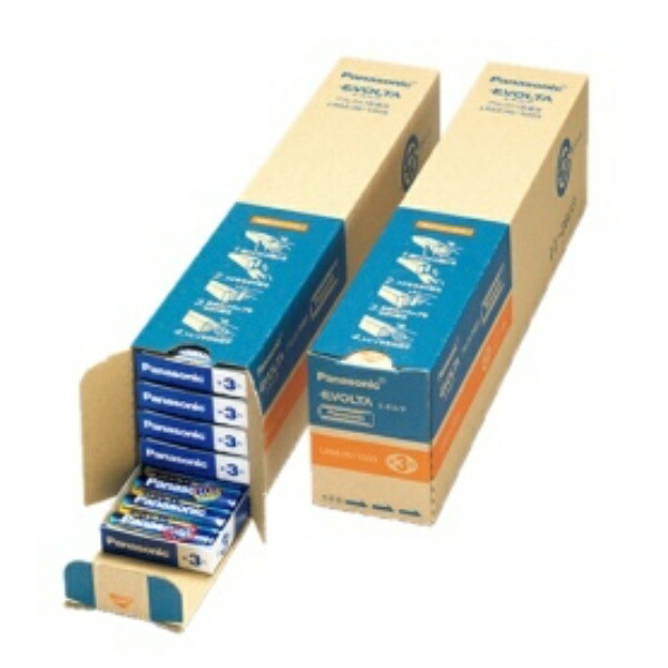 Panasonic Alkaline Evolta AA Batteries, 100-Pack