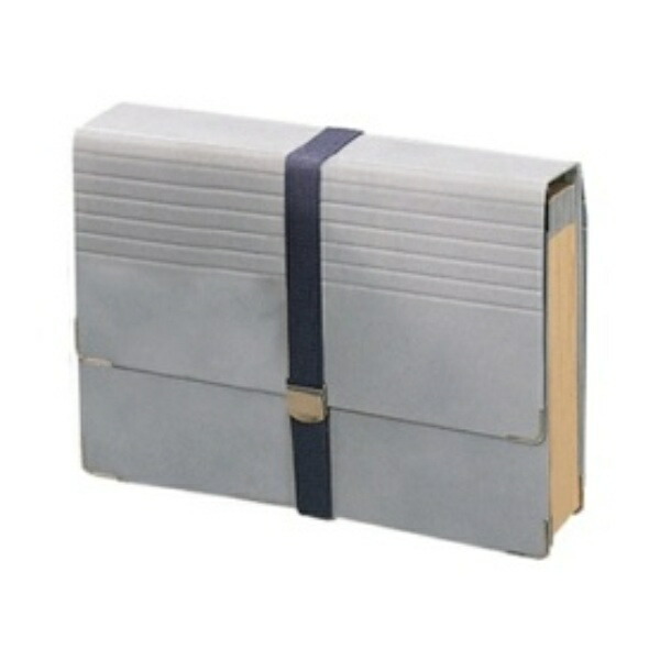 Lion Office Supplies Document File A4 32P DC-431N