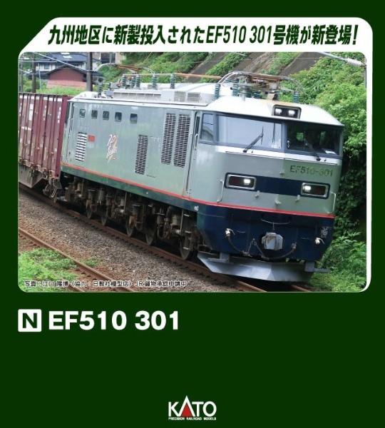 4949727693248