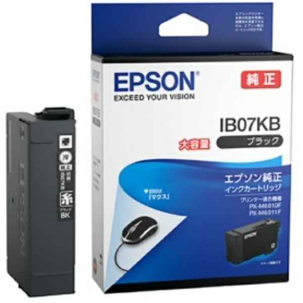 Epson Ink Cartridge Black High Capacity IB07KB 1 piece