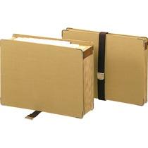 Lion Office Supplies Document File A4 32P DC-231