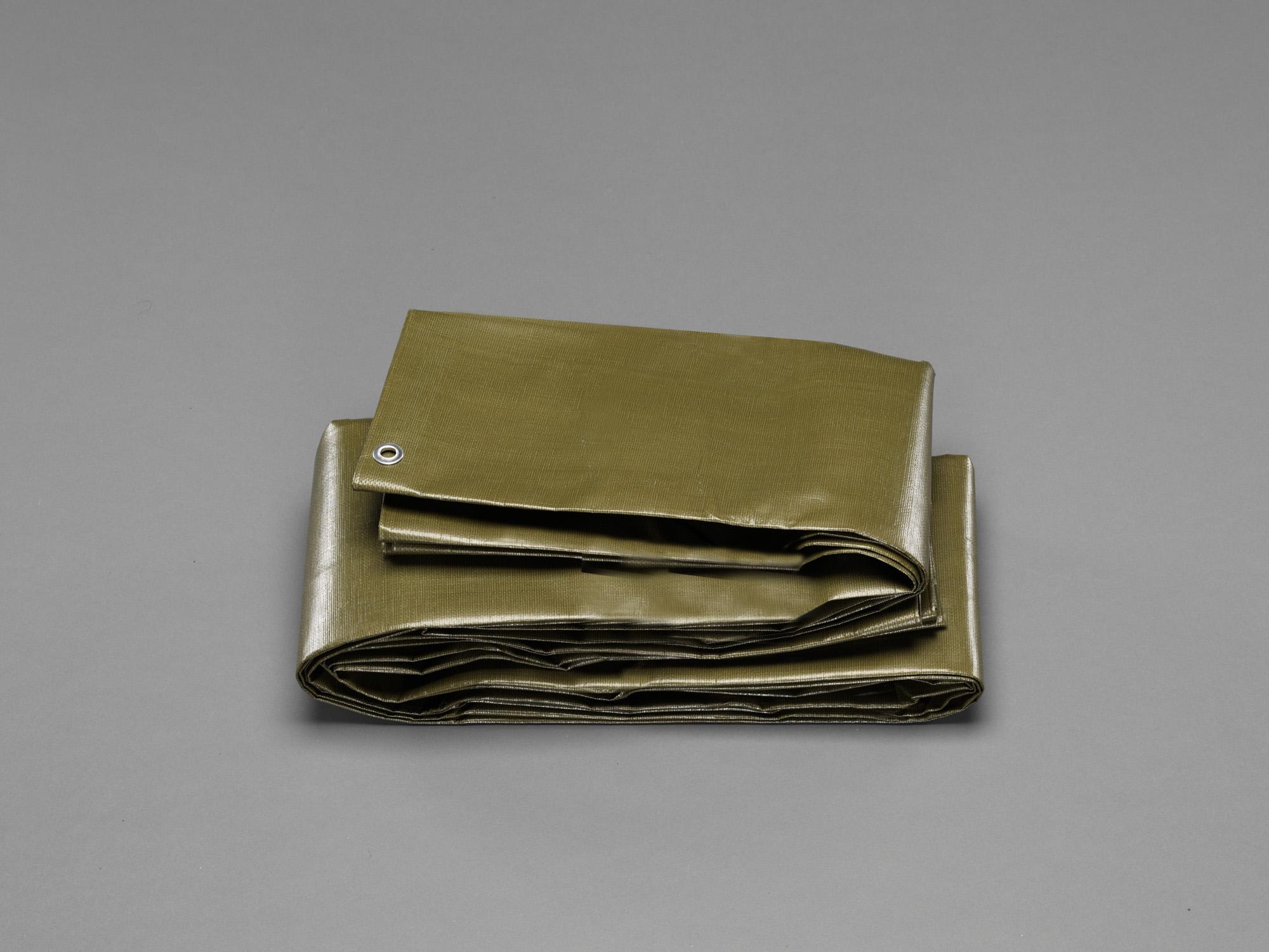 5.4 x 5.4 m UV Sheet (#4000/OD Color) EA915BB-63