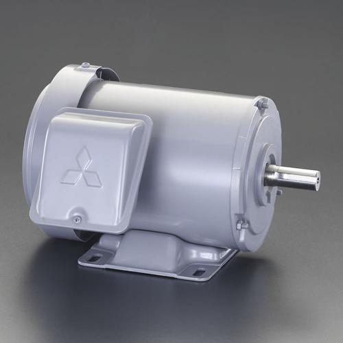 ESCO AC200V・0.4 kW Three-Phase Motor (Fully Enclosed External Fan, Indoor Type) EA968BA-4A 1 unit