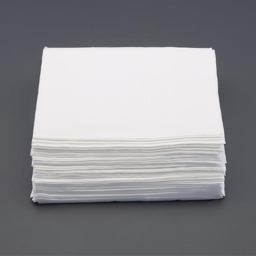 ESCO 240x240mm Wiping Cloth (Cleanroom Use/100 Sheets) EA929CH-17
