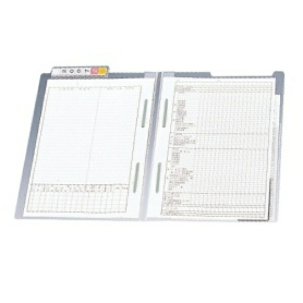 RihitoraB Chart Folder with Double Zipper, 50 Sheets, A4, Off-White HK720U
