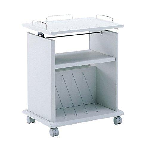 Sanwa Supply Projector Stand PR-5