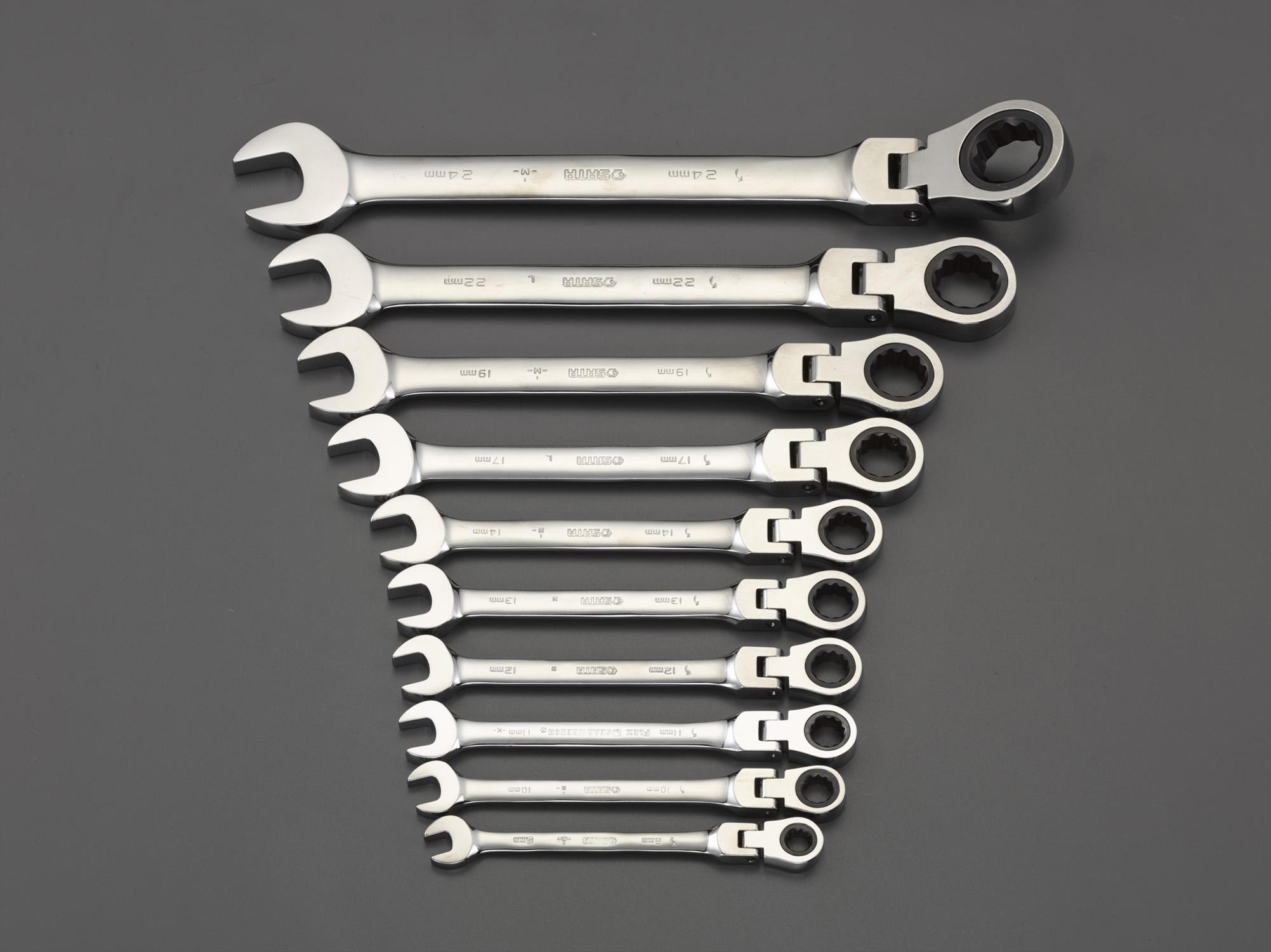 ESCO 10-Piece Combination Wrench Set (Swivel Type) EA684RC-1