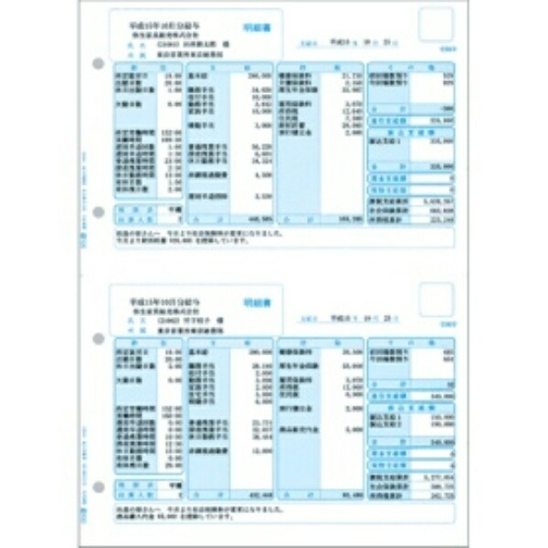 Yayoi Payroll Statement Single Sheet A4 Portrait 336001 1 Box (500 Sheets)