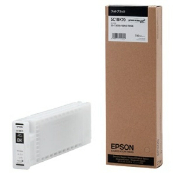 Epson Ink Cartridge Photo Black 700ml SC1BK70 1 piece