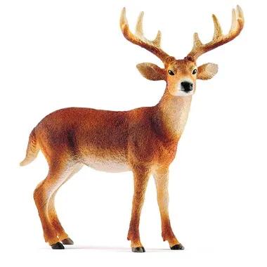 14818 White-tailed Deer (Male)