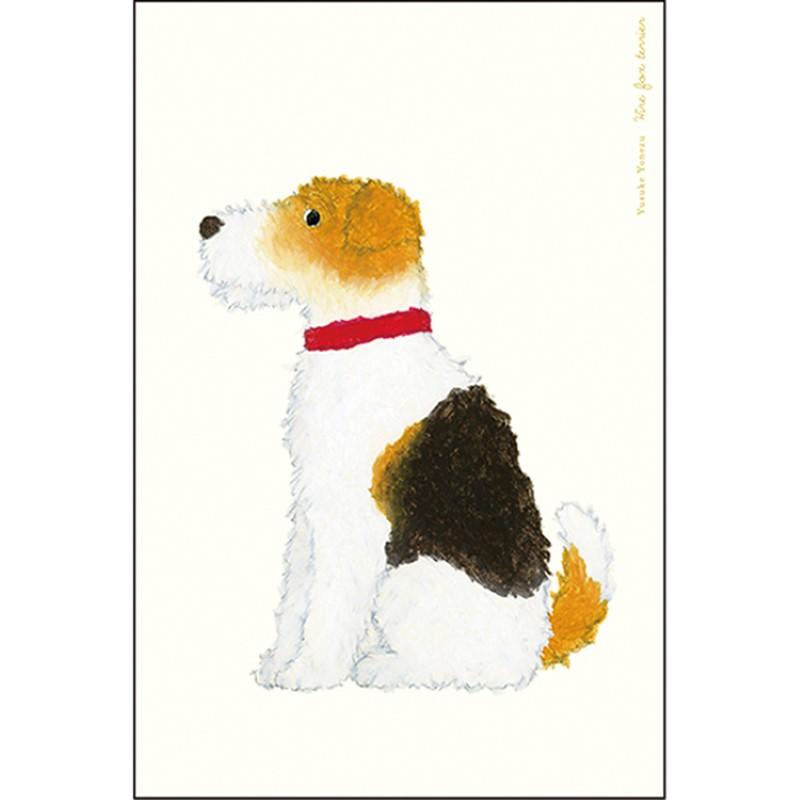 Yusuke Yonezu 5-Piece Postcard Set: Wire Fox Terrier / YZ-446