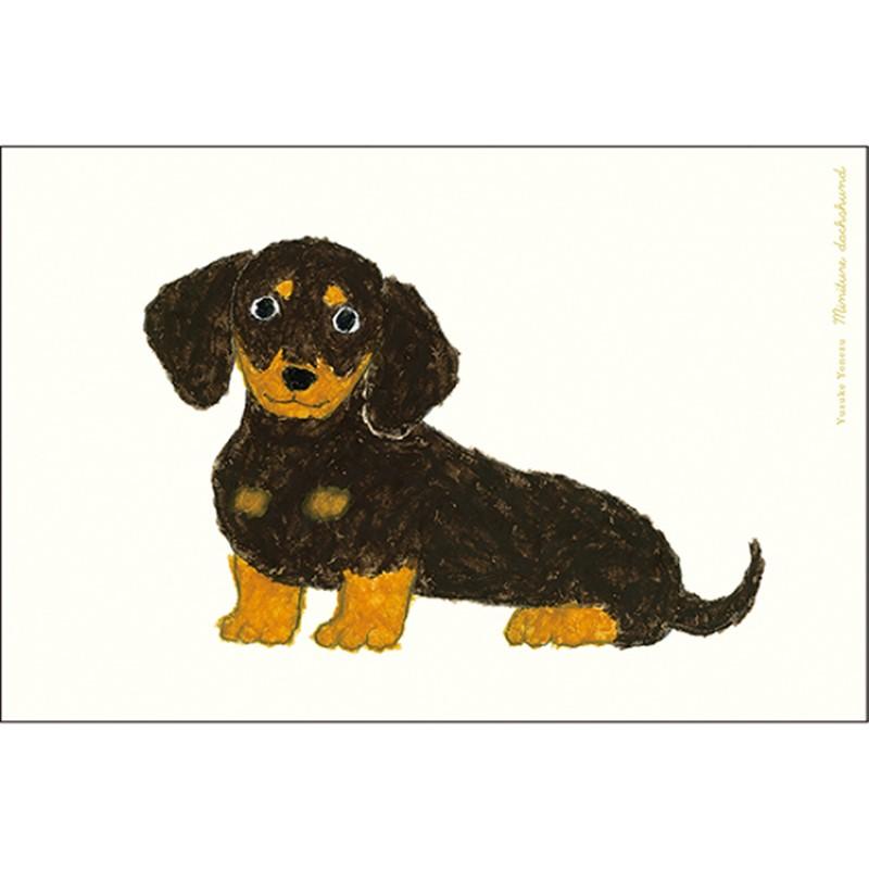 Yusuke Yonezu 5-Piece Postcard Set Miniature Dachshund / YZ-447