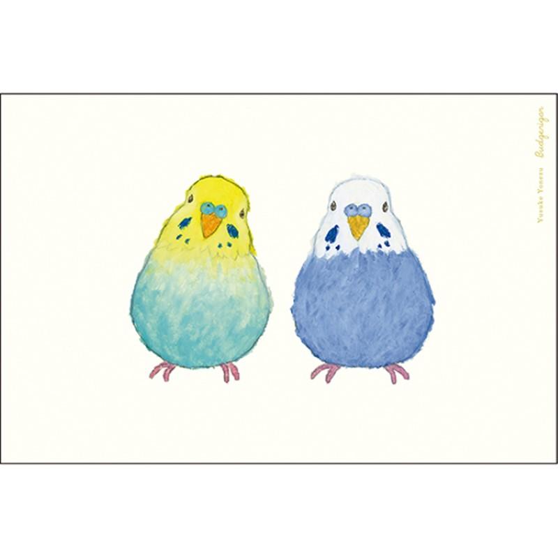 Yusuke Yonezu 5-Piece Postcard Set: Budgerigar / YZ-450