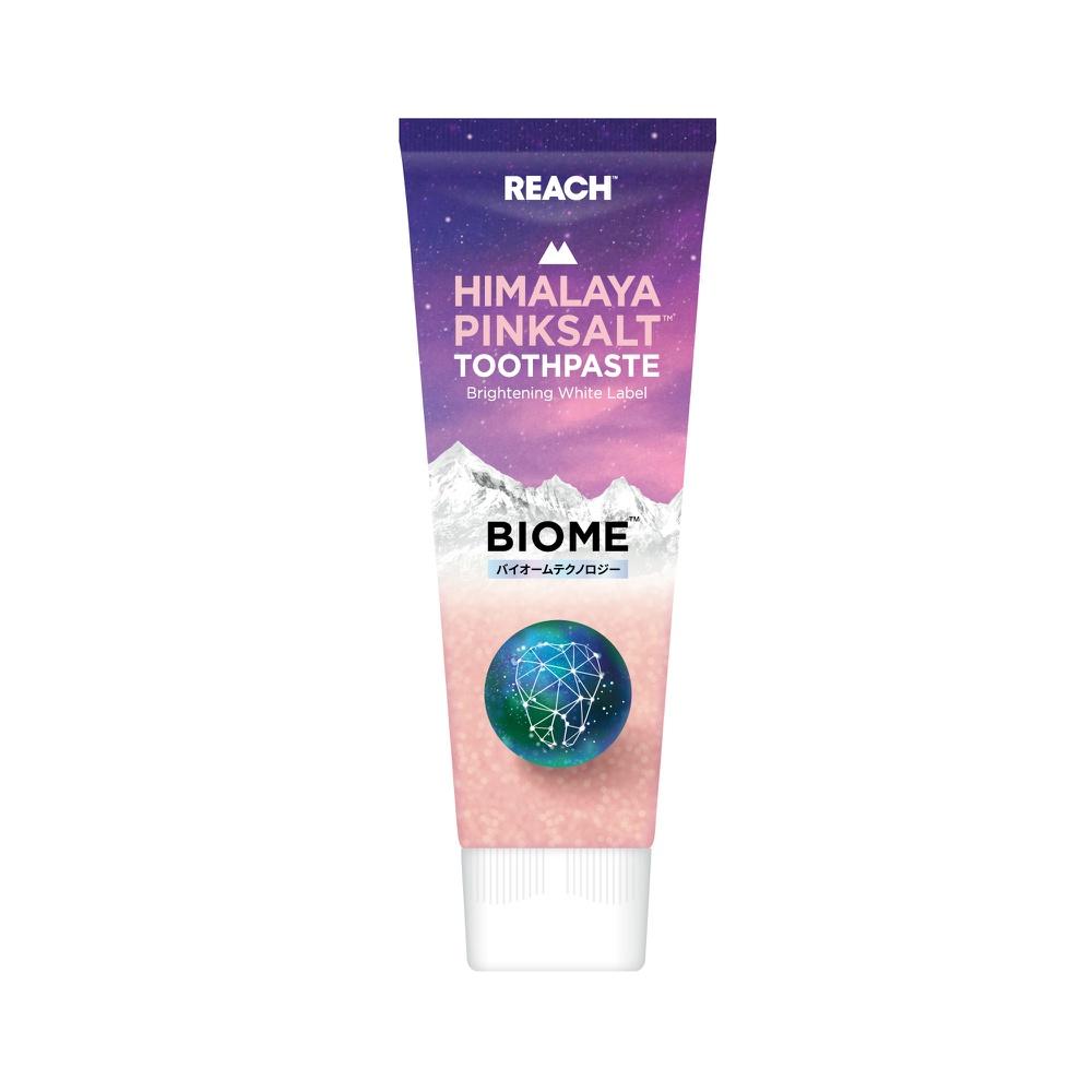 Reach Himalayan Pink Salt Biome