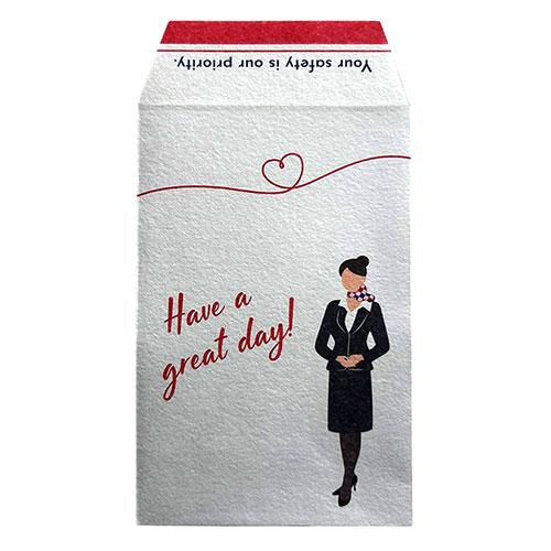 UKIMA Airline Pochibukuro Envelope Set (3-Pack) Crew Design For Travel Enthusiasts, Aviation Fans, and Kids Who Love Airplanes Perfect for New Year's Money Gifts or Presents UKM-P79