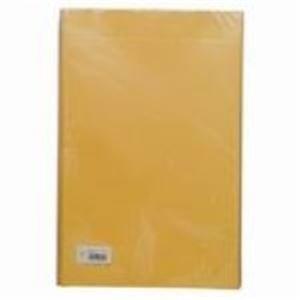 Large Kraft Envelopes with Gusset, A3 Size, 10-Pack