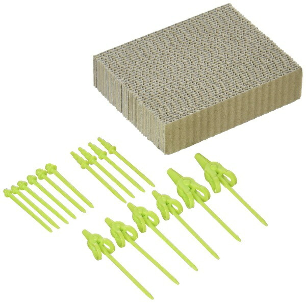 4560124071219
