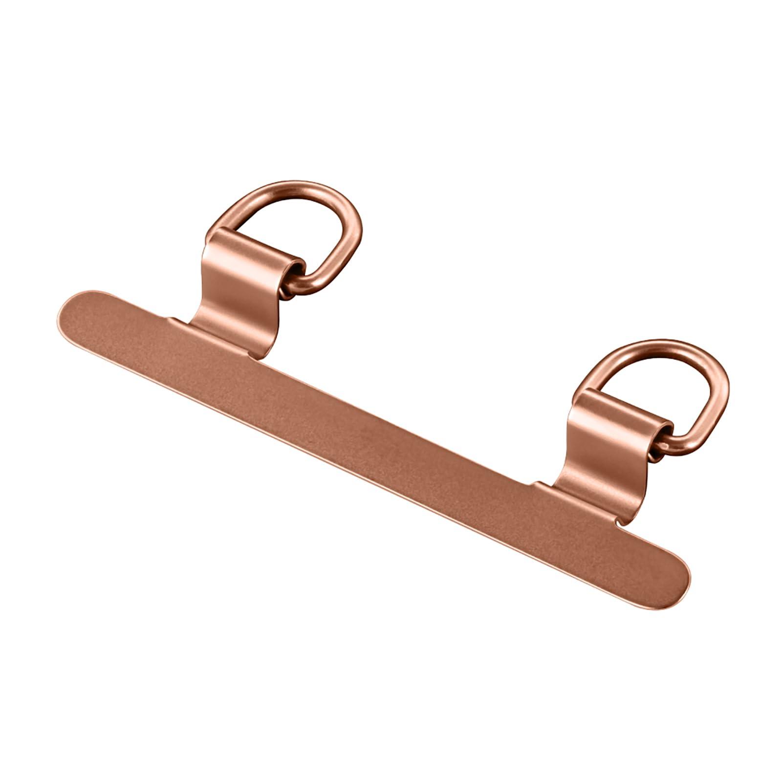 LEPLUS NEXT Smartphone (Universal) STRAP SHEET Clip-On Sheet Stainless Steel 2-Port Type Pink LN-SH05STPK