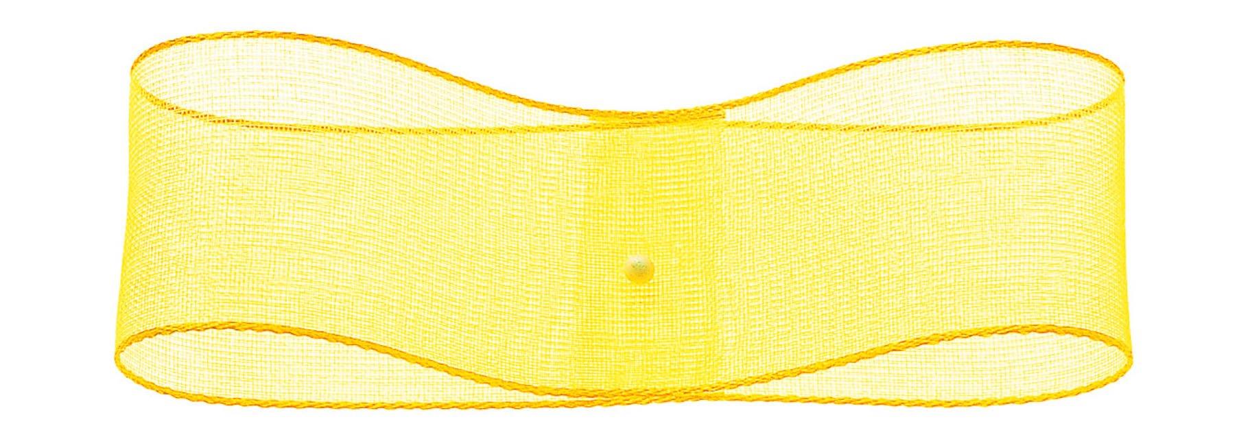 31600 Edged Organza #03 Quantity: 1 roll