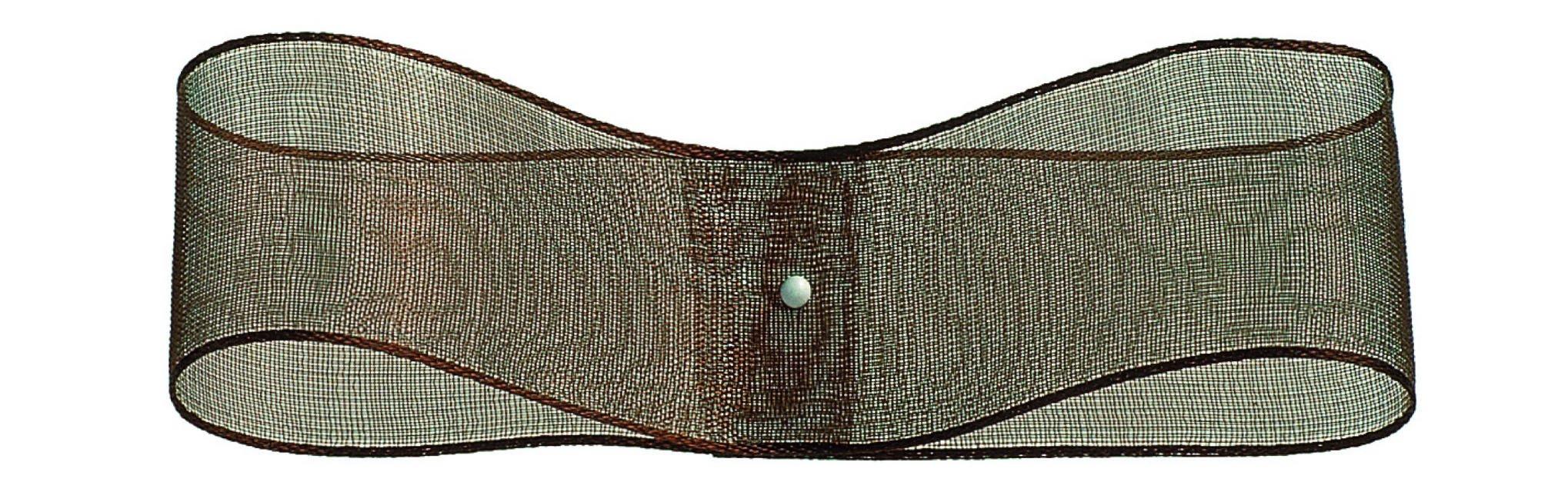 31600 Edged Organza #25 Quantity: 1 roll