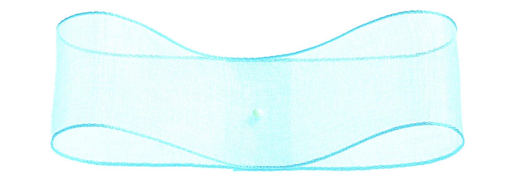 31600 Edged Organza #35 Quantity: 1 roll